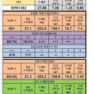 라팍 19일 원정응원석 2연석 정가양도