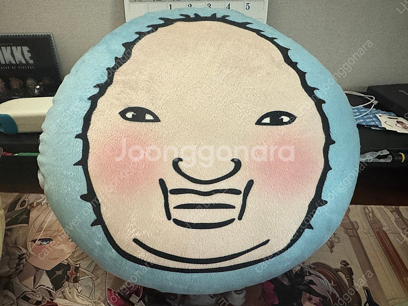 천양 쿠션--0