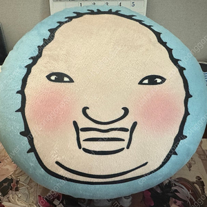 천양 쿠션