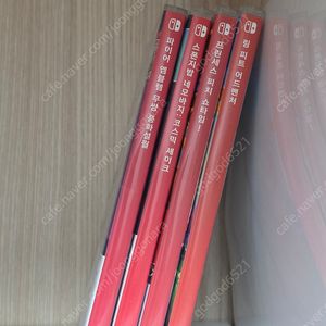 링 피트, 프린세스 피치 쇼타임!, 무쌍 풍화설월, FC24