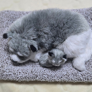 차량용 고양이 잠자는 인형