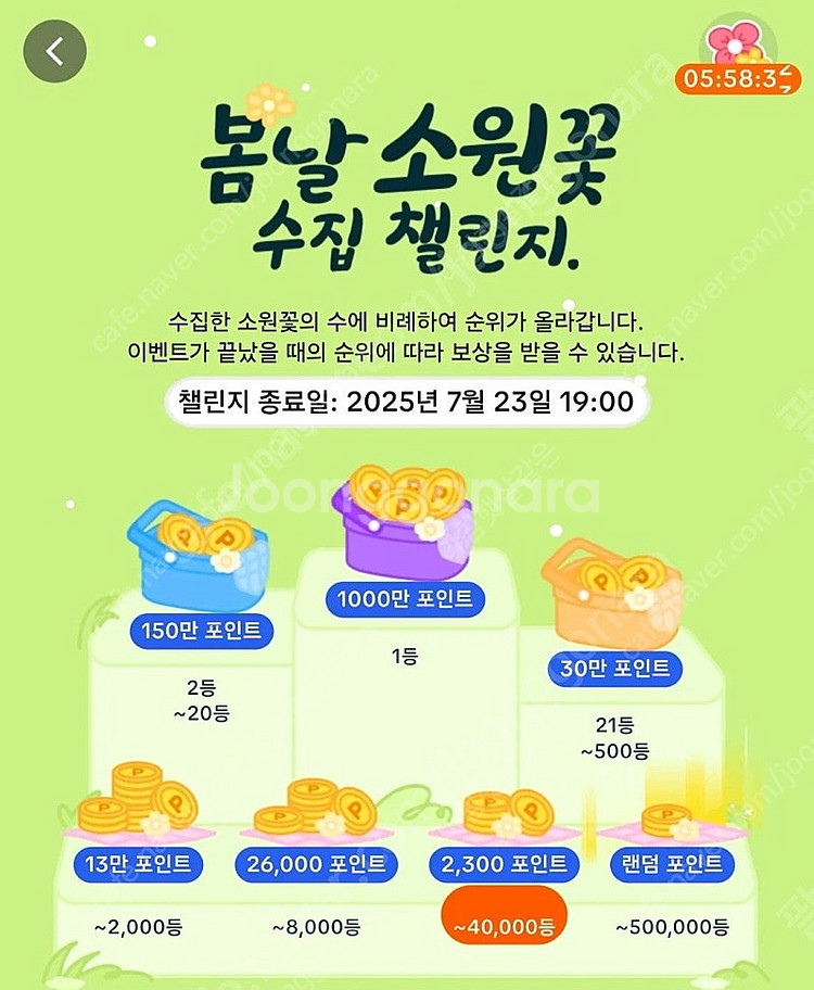 틱톡 틱톡라이트 소원꽃 미접속 계정 3개 개당 600원...--0