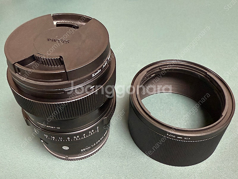 시그마 65mm F2 DG DN | Contempora...--4