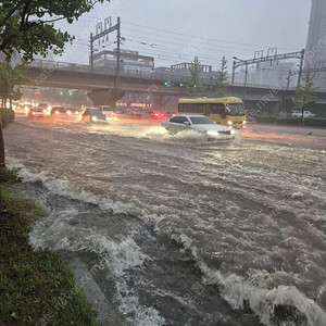 카더가든 오존19일 표2장 구합니다