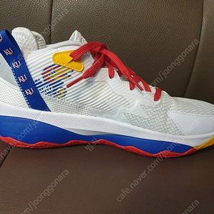 [270] Kansas Jayhawks Dame8
