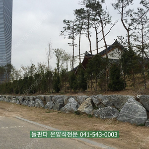 [온양석 조경석 전문] 믿고 맡기는 아산 ‘돌판다’ – DIY 인테리어 조경 현장납품부터 트럭운반 OK!
