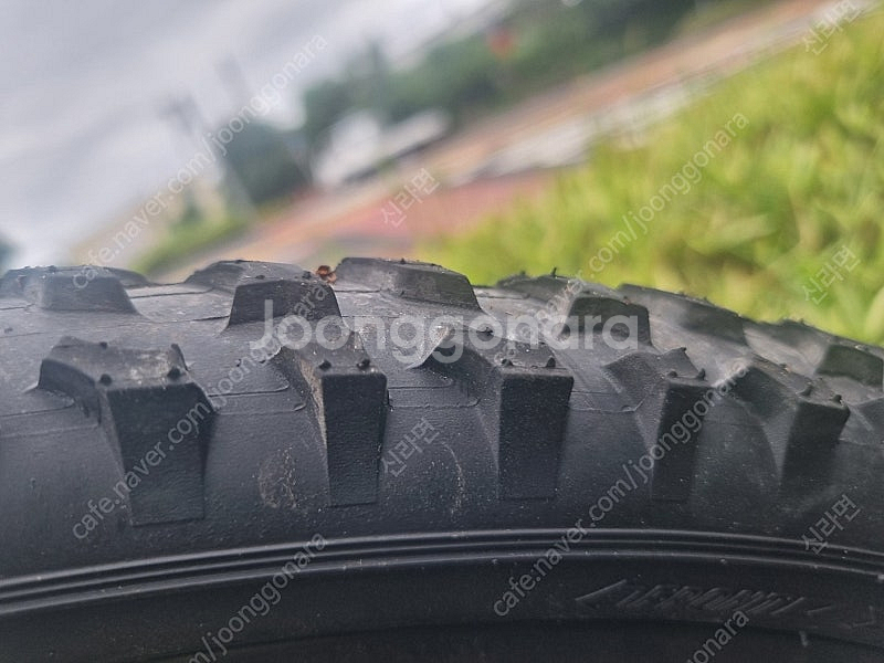 mtb 후지 네바다 자전거 제주도--2