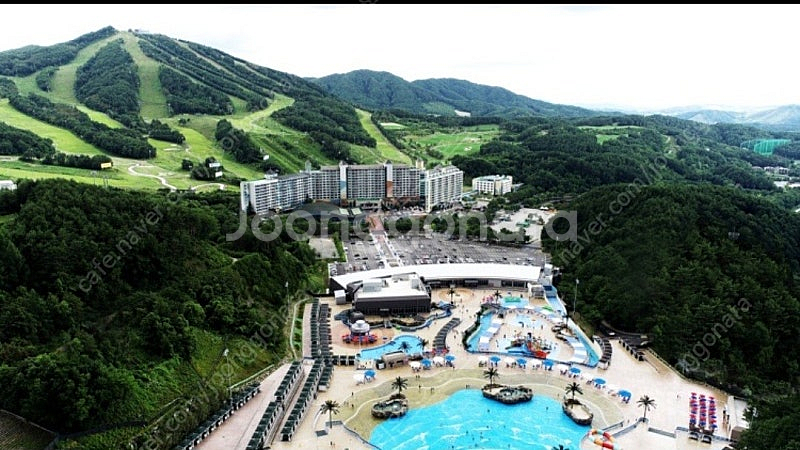 8/1금, 2토, 3일 강원 횡성 웰리힐리파크 콘도 1...--2