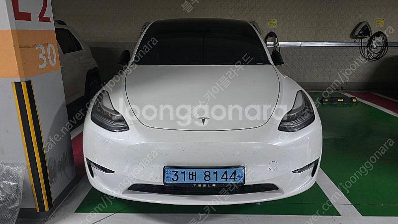 테슬라 Y 롱레인지 22년식 9월--0