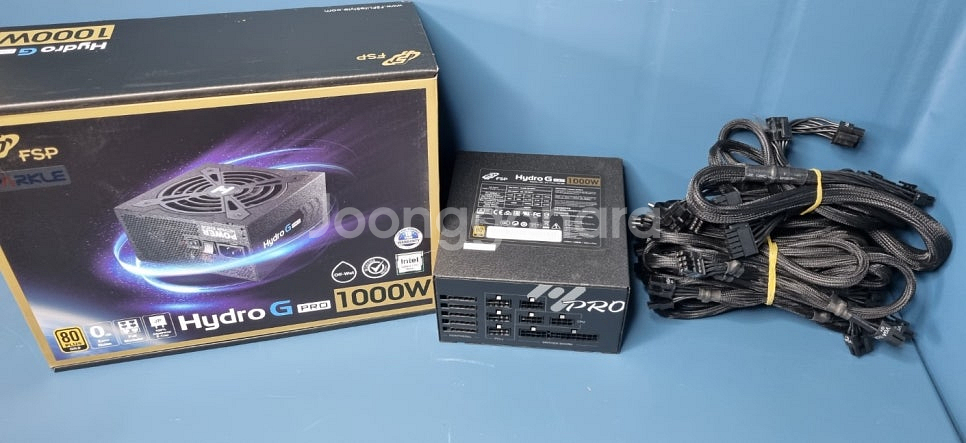 [판매] FSP G PRO 1000W 블랙 / 에브가 ...--1