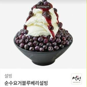 설빙 순수요거블루베리 설빙