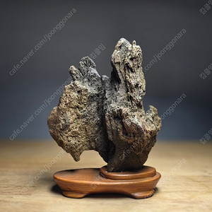 좌대 수석