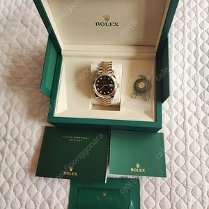 롤렉스 데이저스트 41mm 검판 10P 옐로우골드 콤비