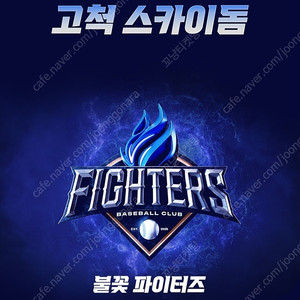 불꽃야구 7월 20일 1루 불꽃석 4연 양도합니다