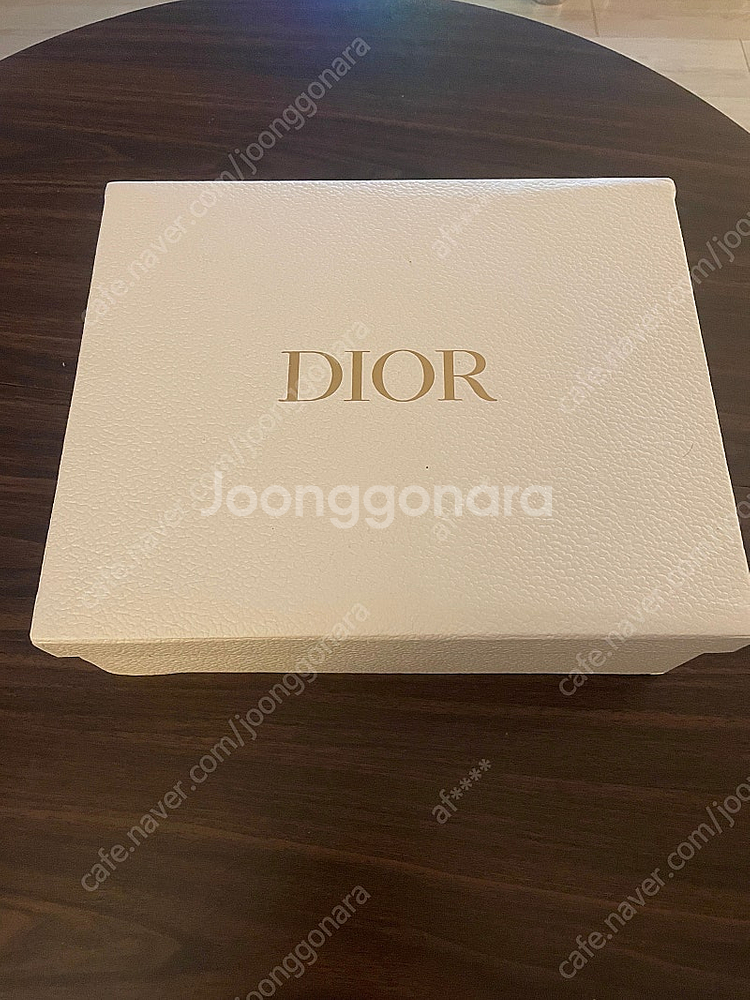 디올 레이디백 스몰--6