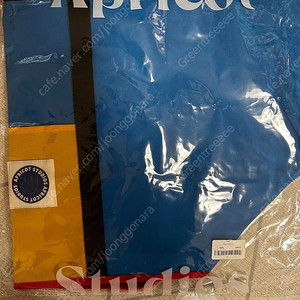 아프리콧스튜디오 캠퍼백 (블루)