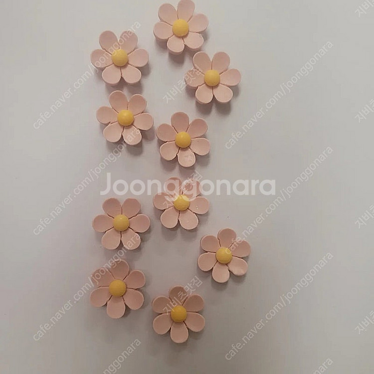 지비츠) 데이지 세트 10P--1