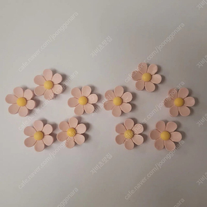 지비츠) 분홍데이지 세트 10P