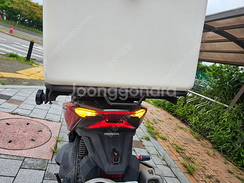 20년식 포르자300 판매--7