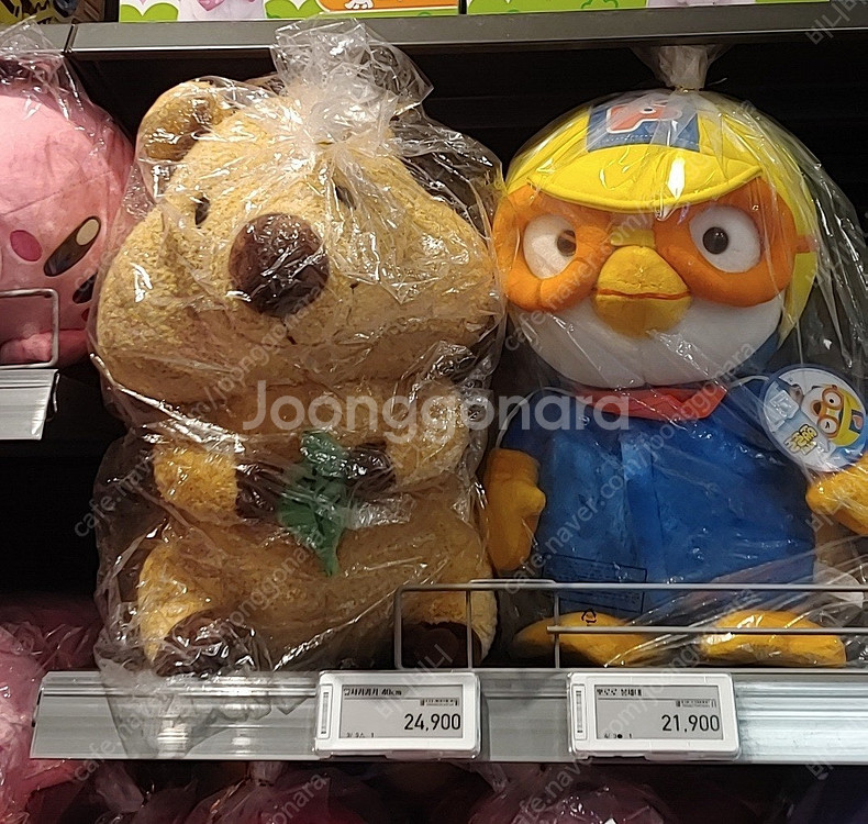 케어베어, 포켓몬, 잎사귀 쿼카 인형 새상품 팝니다--4