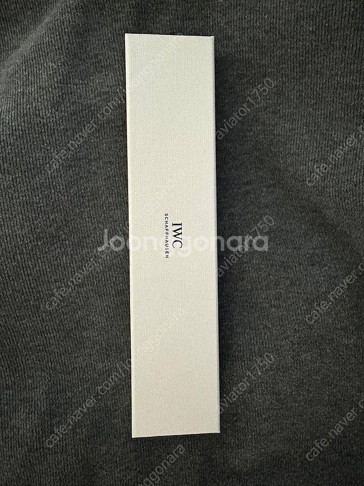 IWC 파일럿워치 마크 20 청판--5