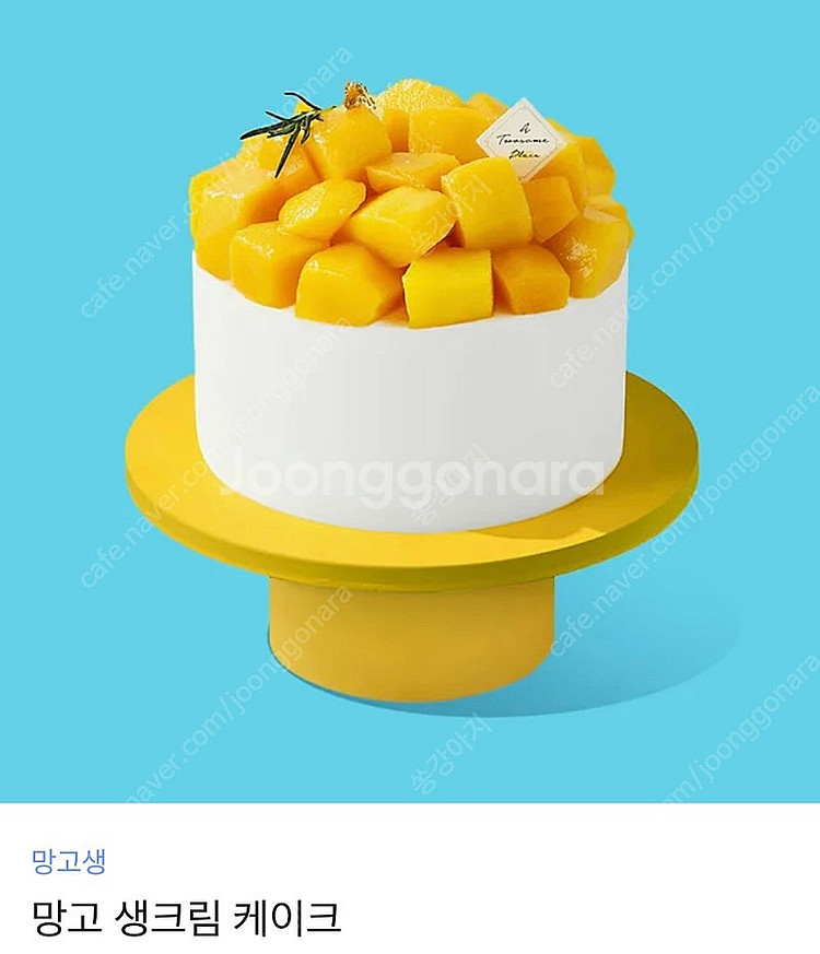투썸 망고 생크림 케이크--0