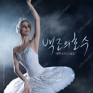 유니버설발레단 <백조의호수> 서울공연 명당자리 판매