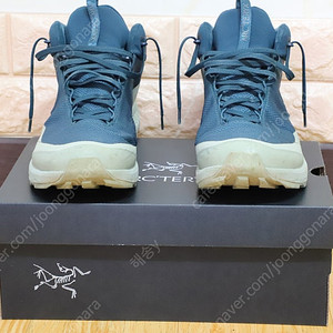 ARCTERYX AERIOS FL 2 Mid GTX US 8.5(270mm) LABYRUNTH/HABITAT
