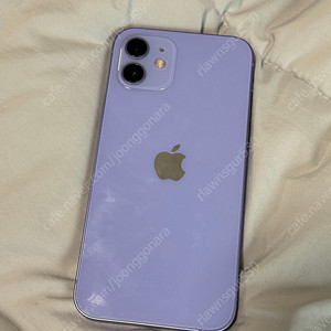 아이폰12 128 퍼플