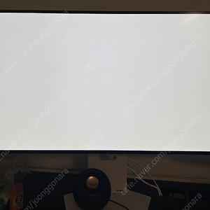 LG전자 울트라기어 32GS95UV