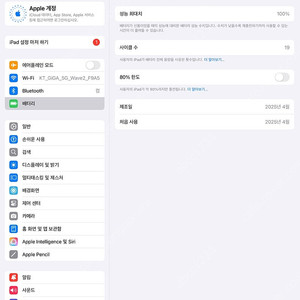 아이패드 프로 m4 13인치 실버 + 애플펜슬프로