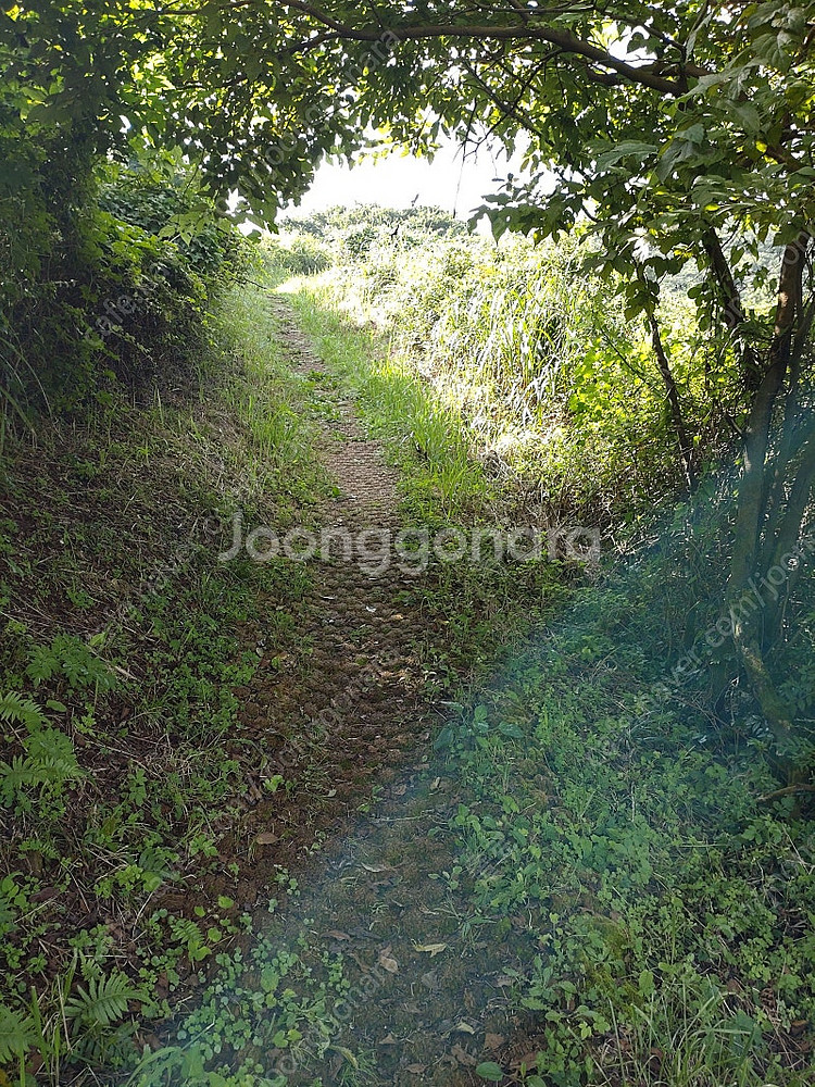 KT 와이파이 7월 이용권 : 900원 // kt 데이...--0