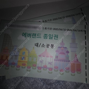 에버랜드 종일권 2장