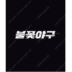 [정가이하] 불꽃야구 1루 외야지정석 4연석