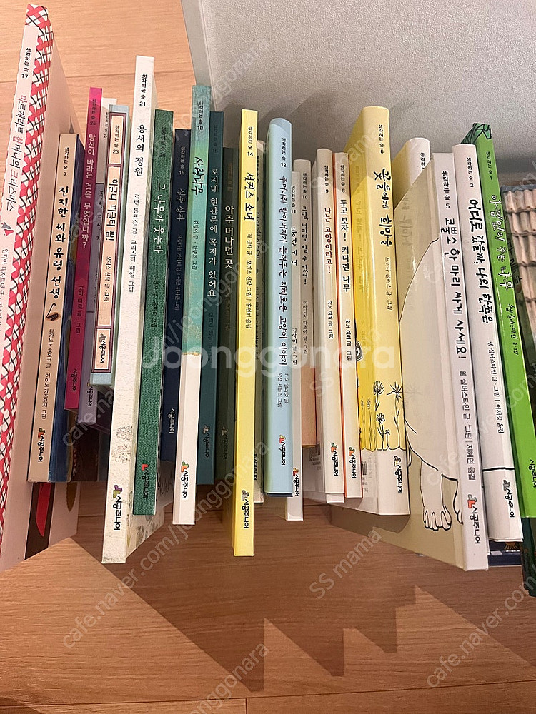 시공주니어 생각하는 숲 전권 25 어린이 책--0
