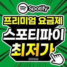 스포티파이 프리미엄 1년 이용권