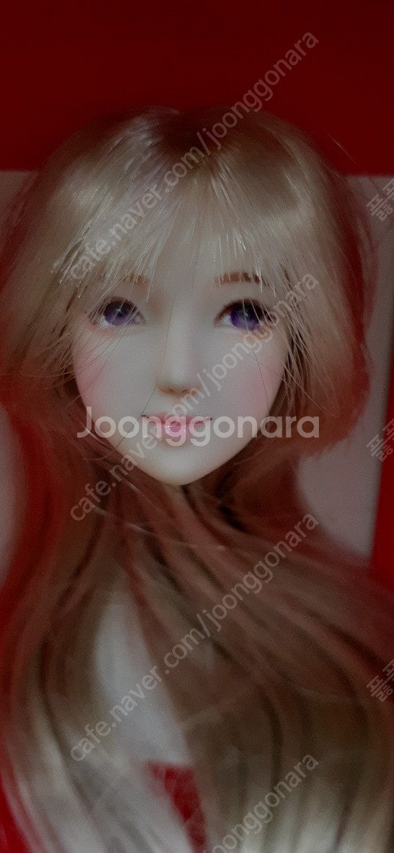 오비츠 커스텀 헤드--0