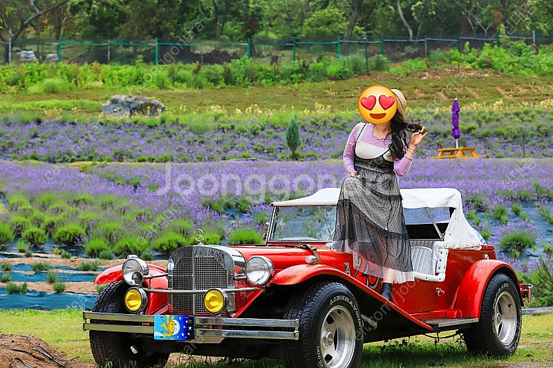 클래식카 올드카 벤츠--1