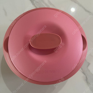 새상품 타파웨어 전자레인지 전용 용기 찜기 1.6리터