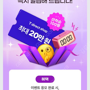 티다이렉트 20만원권 2장 일괄
