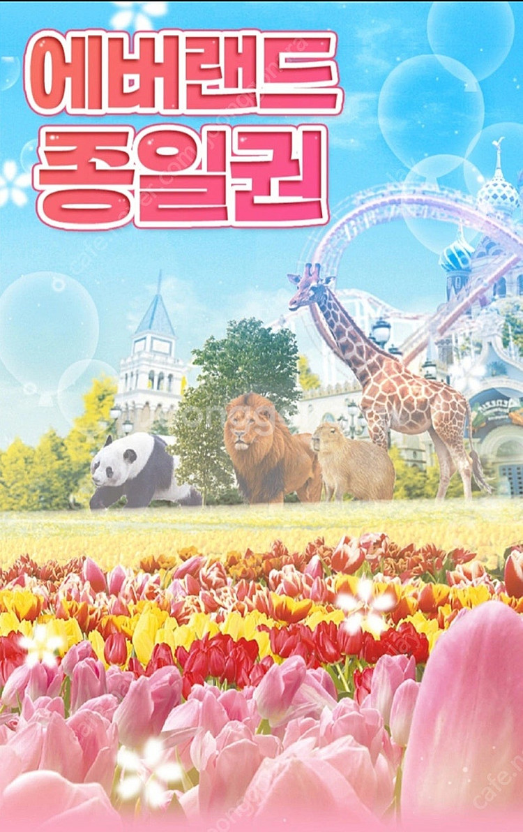 에버랜드 자유이용권(내일)--0
