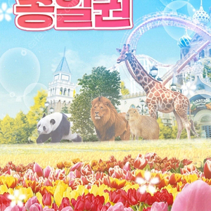 에버랜드 자유이용권(내일)