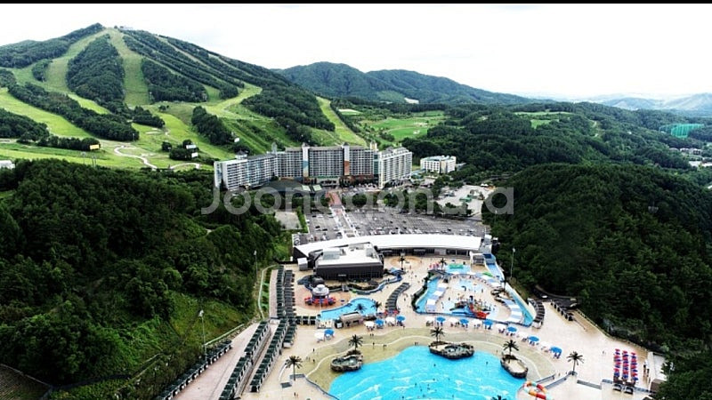 8/1금,2토,3일 강원 횡성 웰리힐리파크 콘도--2