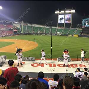 7월 20일 LG VS 롯데 1루 오렌지석 응원석 207블럭