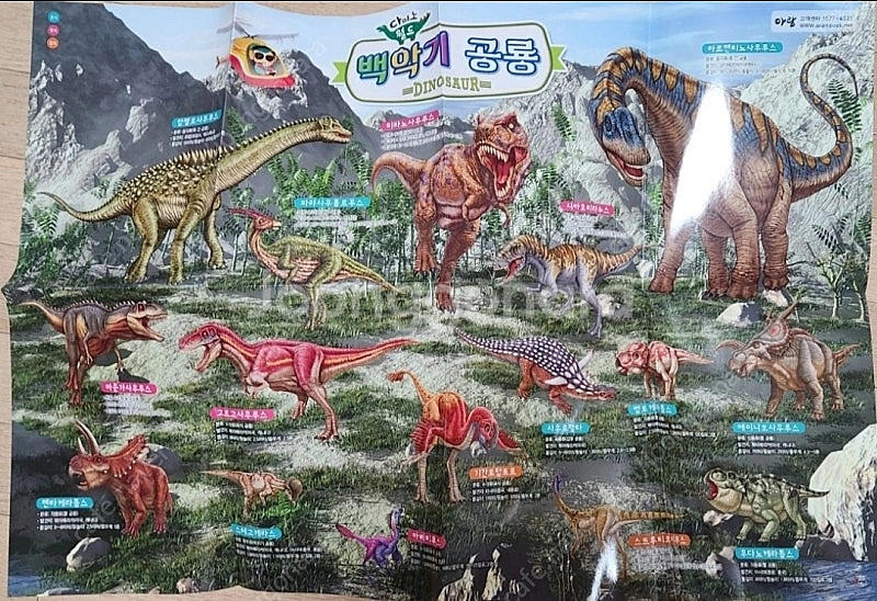 다이노월드 공룡책 12권--2