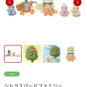 실바니안 시트러스 버드