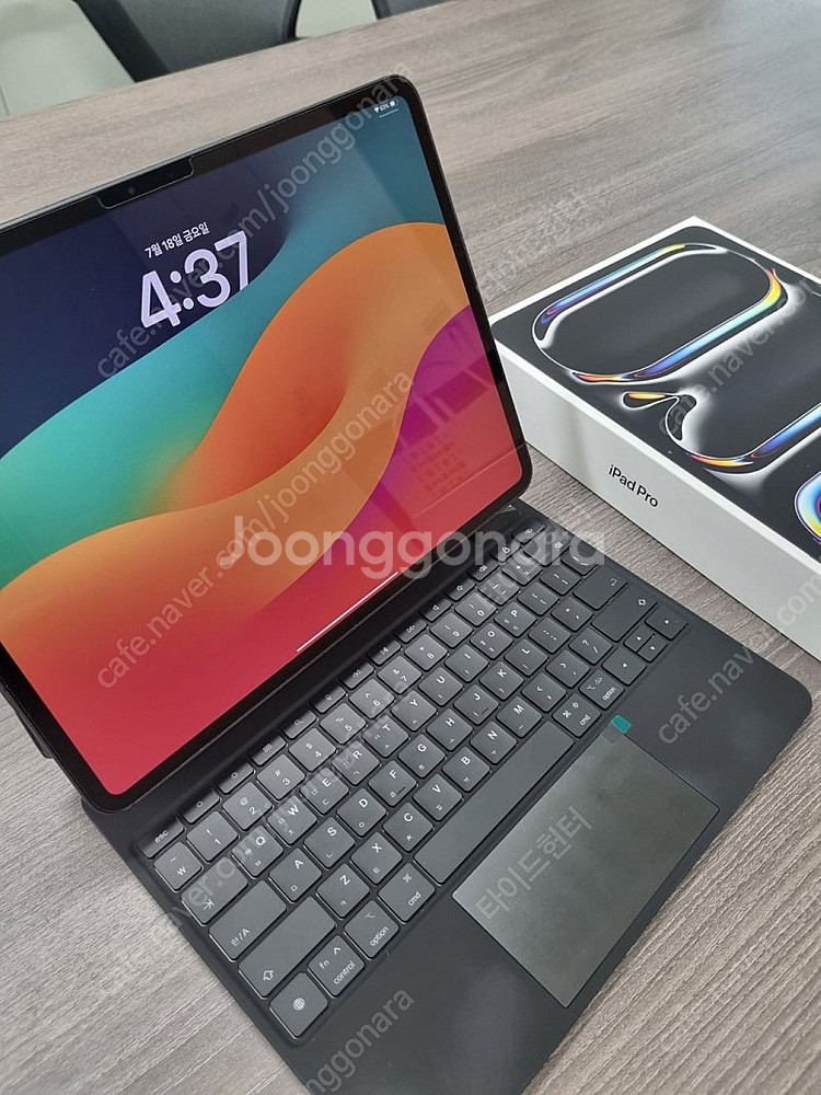 아이패드 프로 13 m4 256GB, wifi+셀룰러 ...--7