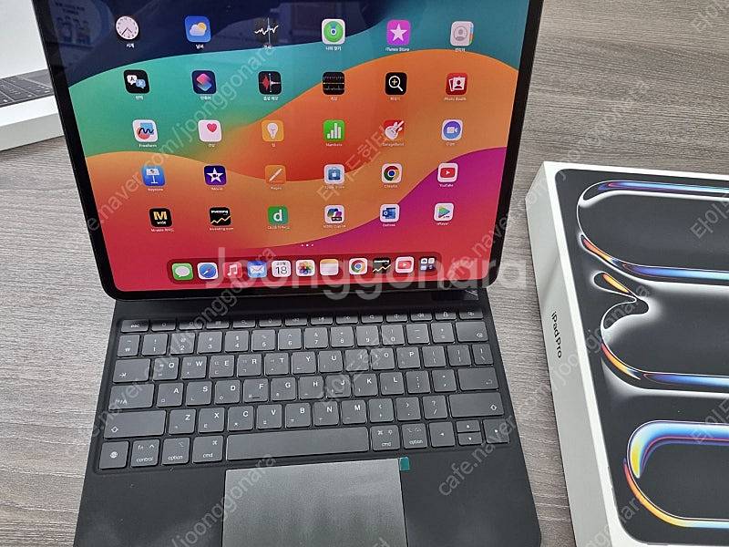 아이패드 프로 13 m4 256GB, wifi+셀룰러 ...--8