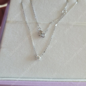 골든듀e디어니스 목걸이 1c