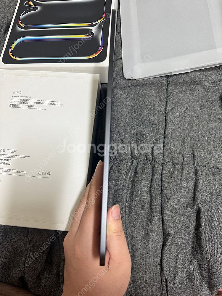 아이패드 프로7세대 13인치 M4 와이파이 512기가 ...--3